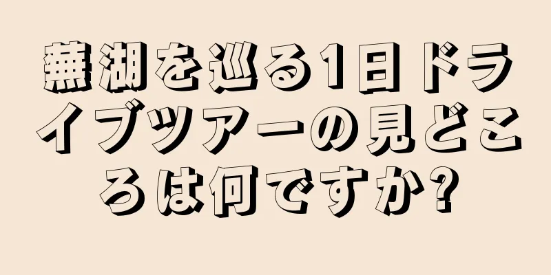 蕪湖を巡る1日ドライブツアーの見どころは何ですか?