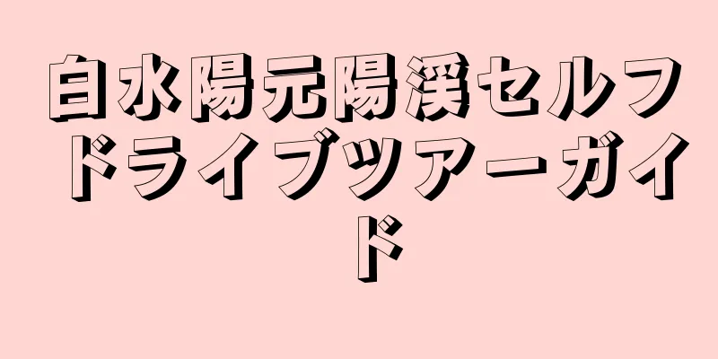白水陽元陽渓セルフドライブツアーガイド