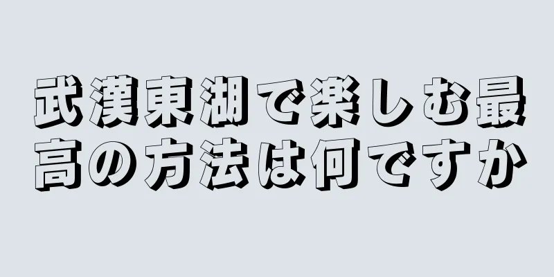 武漢東湖で楽しむ最高の方法は何ですか