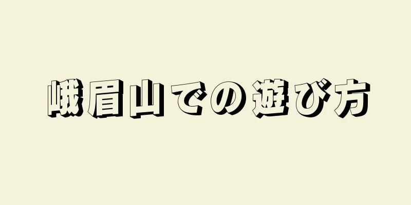 峨眉山での遊び方