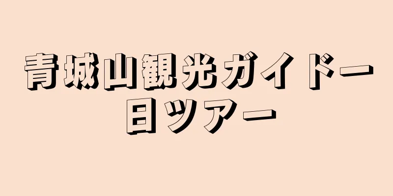 青城山観光ガイド一日ツアー