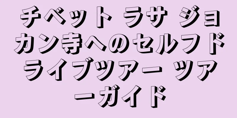 チベット ラサ ジョカン寺へのセルフドライブツアー ツアーガイド