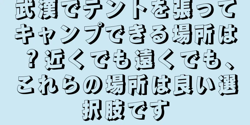 武漢でテントを張ってキャンプできる場所は？近くでも遠くでも、これらの場所は良い選択肢です
