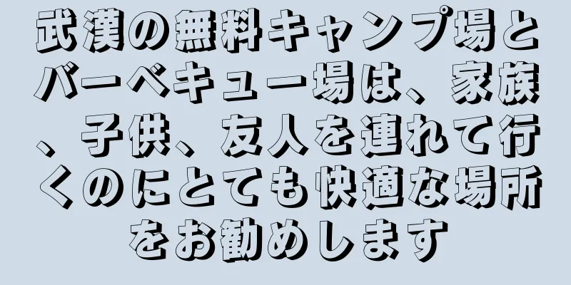 武漢の無料キャンプ場とバーベキュー場は、家族、子供、友人を連れて行くのにとても快適な場所をお勧めします