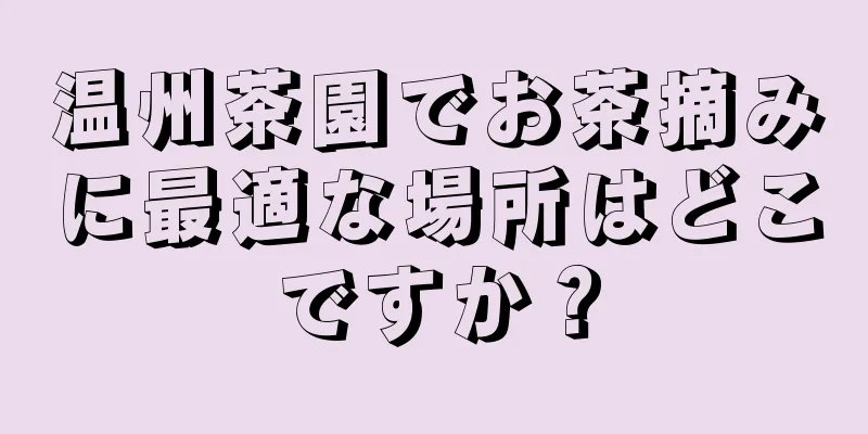 温州茶園でお茶摘みに最適な場所はどこですか？