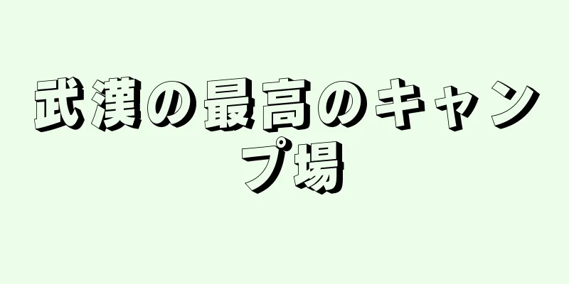 武漢の最高のキャンプ場