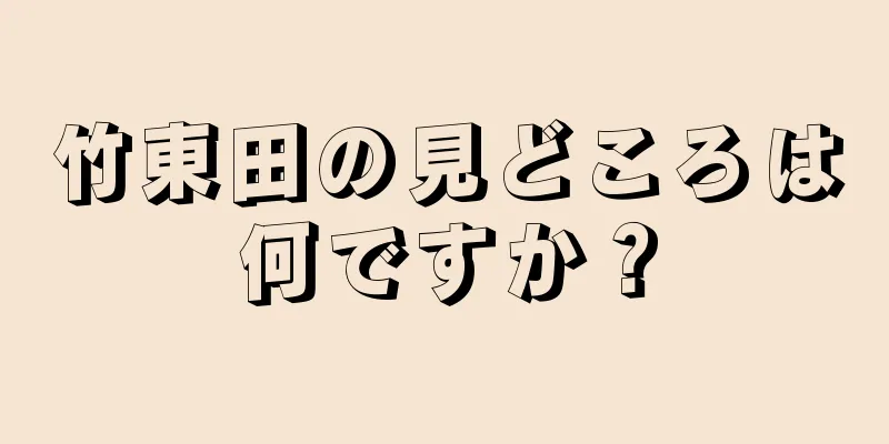 竹東田の見どころは何ですか？
