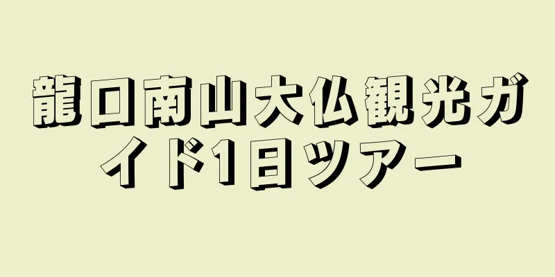 龍口南山大仏観光ガイド1日ツアー
