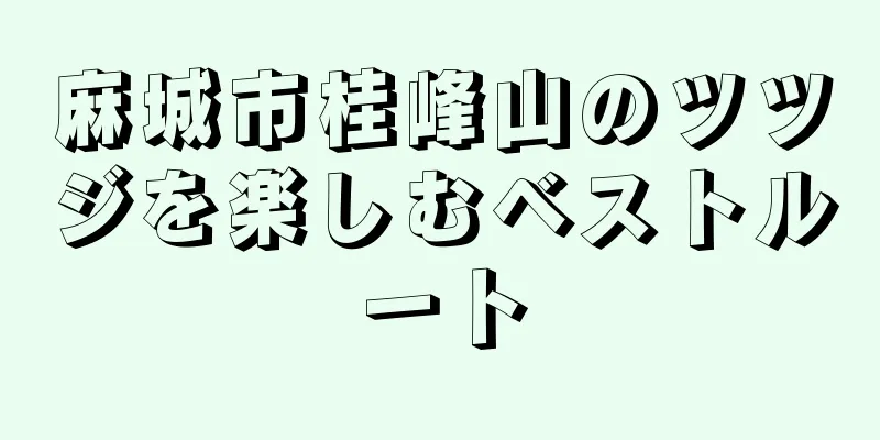 麻城市桂峰山のツツジを楽しむベストルート