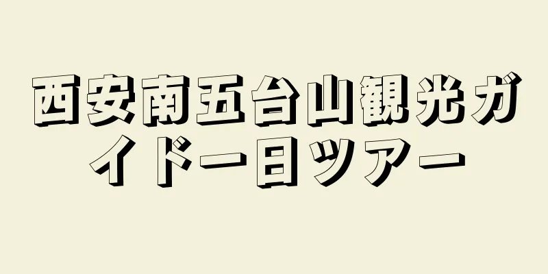西安南五台山観光ガイド一日ツアー