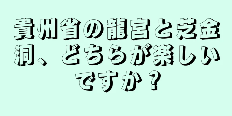 貴州省の龍宮と芝金洞、どちらが楽しいですか？