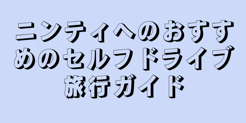 ニンティへのおすすめのセルフドライブ旅行ガイド