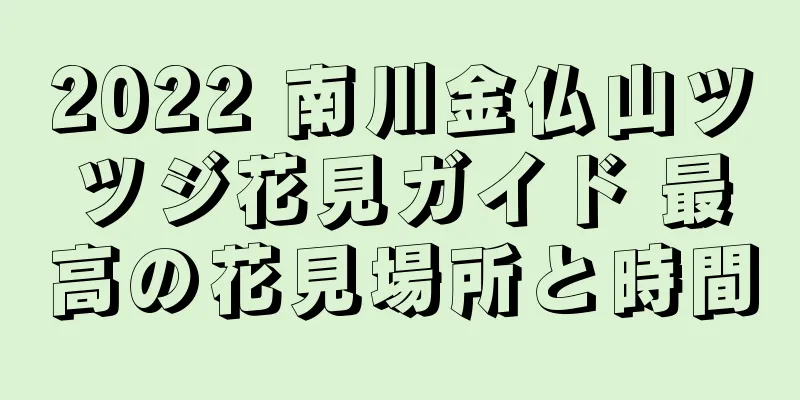 2022 南川金仏山ツツジ花見ガイド 最高の花見場所と時間
