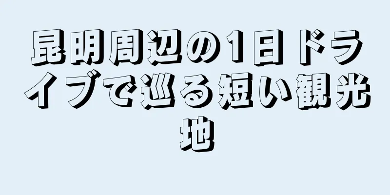 昆明周辺の1日ドライブで巡る短い観光地