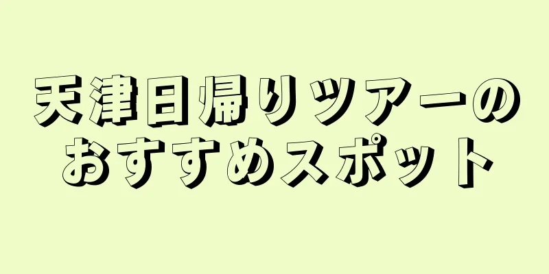 天津日帰りツアーのおすすめスポット