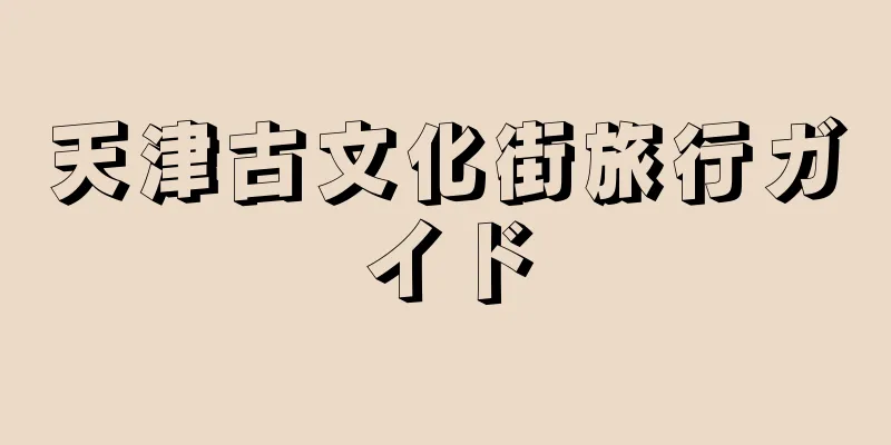 天津古文化街旅行ガイド