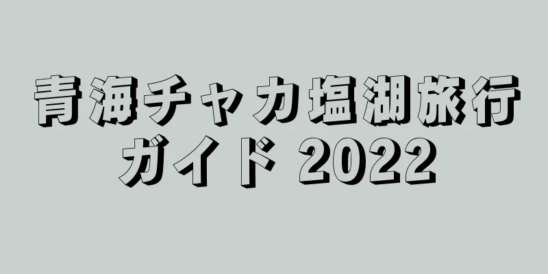 青海チャカ塩湖旅行ガイド 2022