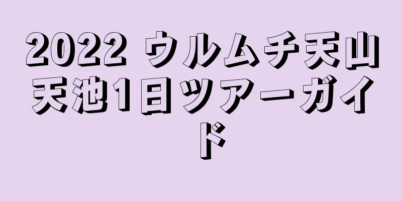 2022 ウルムチ天山天池1日ツアーガイド