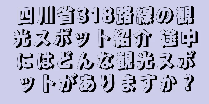 四川省318路線の観光スポット紹介 途中にはどんな観光スポットがありますか？