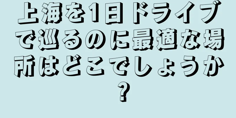 上海を1日ドライブで巡るのに最適な場所はどこでしょうか？