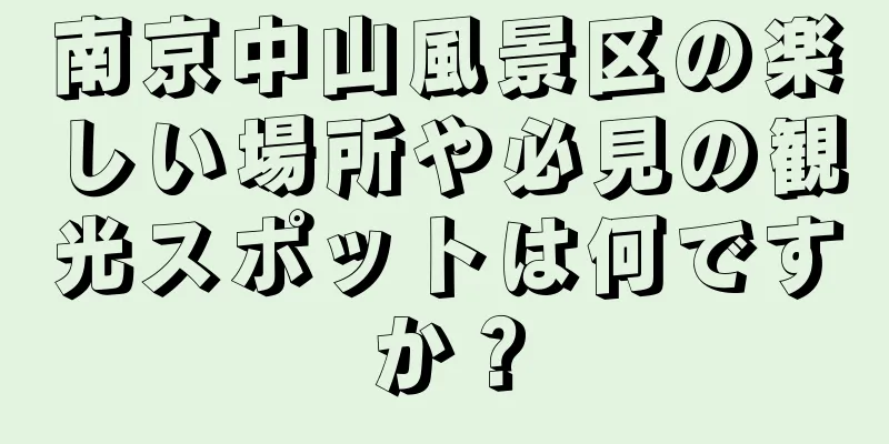 南京中山風景区の楽しい場所や必見の観光スポットは何ですか？