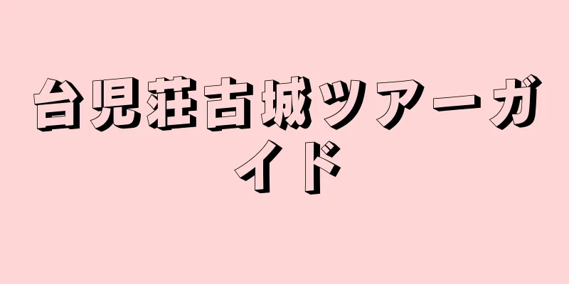 台児荘古城ツアーガイド