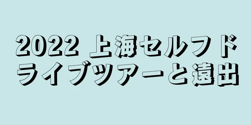 2022 上海セルフドライブツアーと遠出