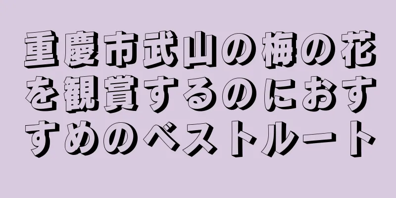 重慶市武山の梅の花を観賞するのにおすすめのベストルート