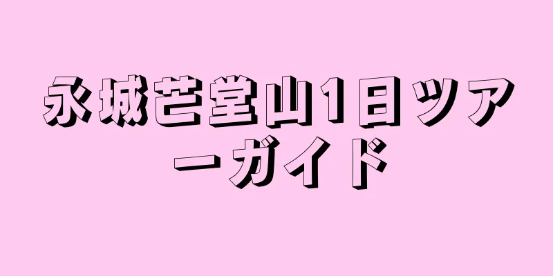 永城芒堂山1日ツアーガイド