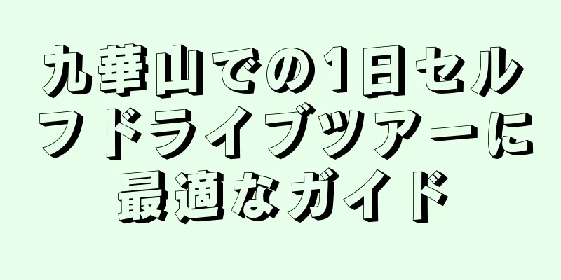 九華山での1日セルフドライブツアーに最適なガイド