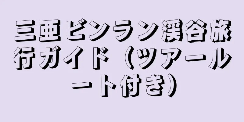 三亜ビンラン渓谷旅行ガイド（ツアールート付き）