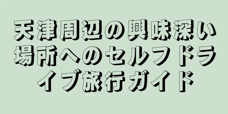 天津周辺の興味深い場所へのセルフドライブ旅行ガイド