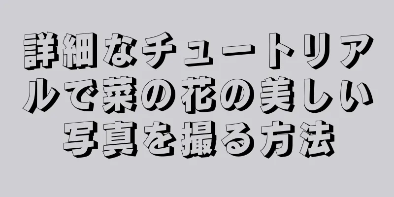詳細なチュートリアルで菜の花の美しい写真を撮る方法
