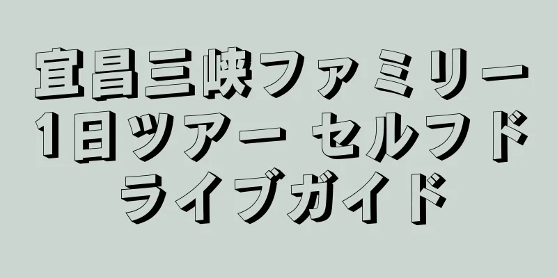 宜昌三峡ファミリー1日ツアー セルフドライブガイド