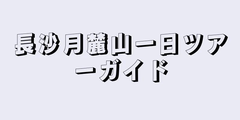 長沙月麓山一日ツアーガイド