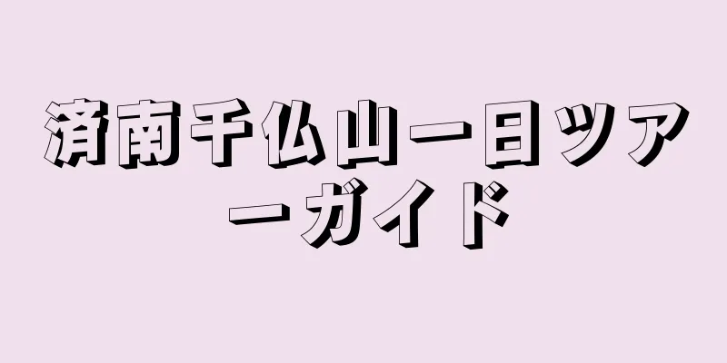 済南千仏山一日ツアーガイド