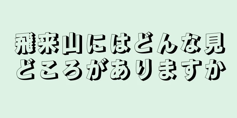 飛来山にはどんな見どころがありますか