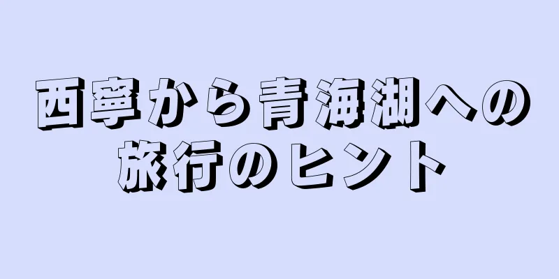 西寧から青海湖への旅行のヒント