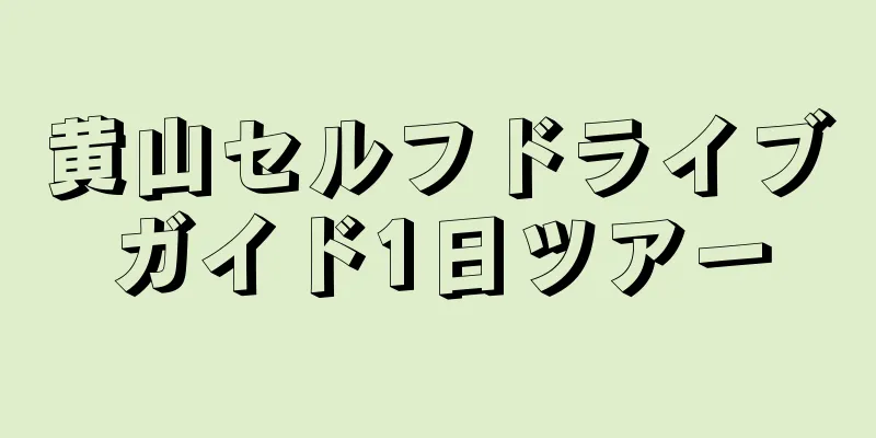 黄山セルフドライブガイド1日ツアー