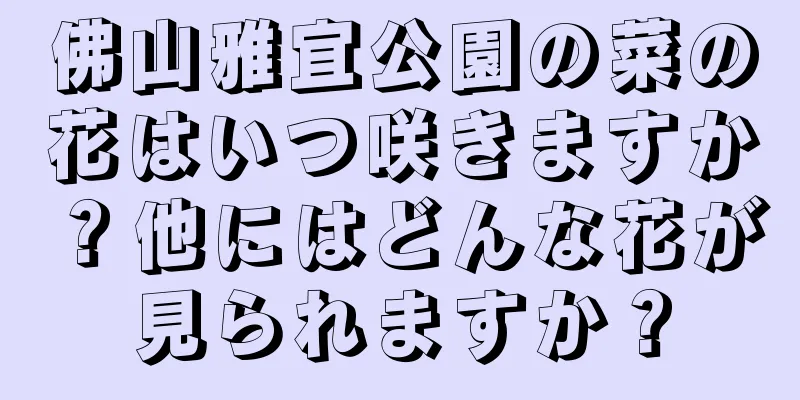 佛山雅宜公園の菜の花はいつ咲きますか？他にはどんな花が見られますか？