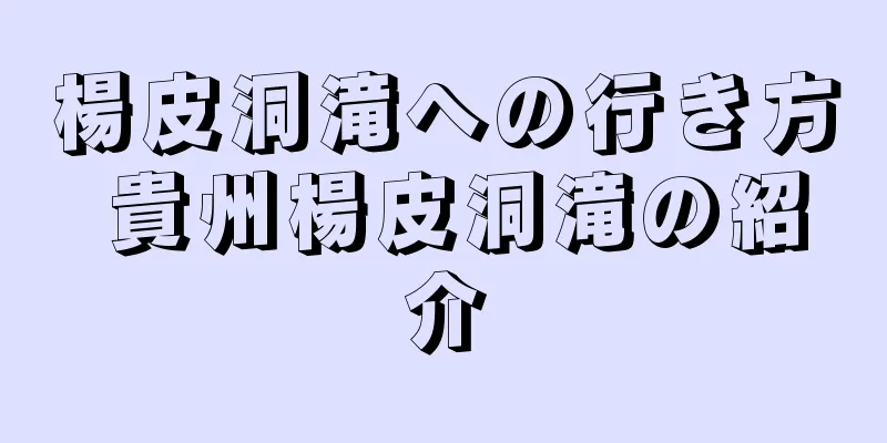 楊皮洞滝への行き方 貴州楊皮洞滝の紹介