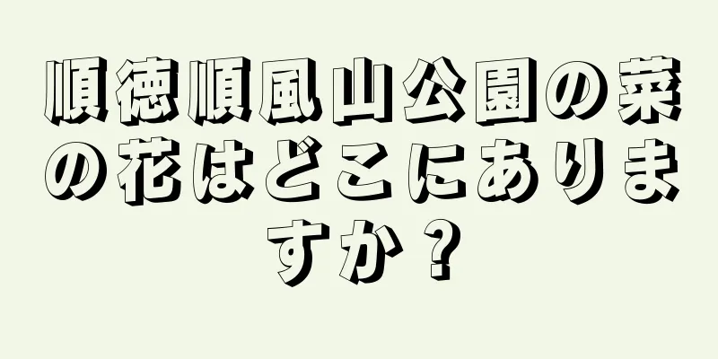 順徳順風山公園の菜の花はどこにありますか？