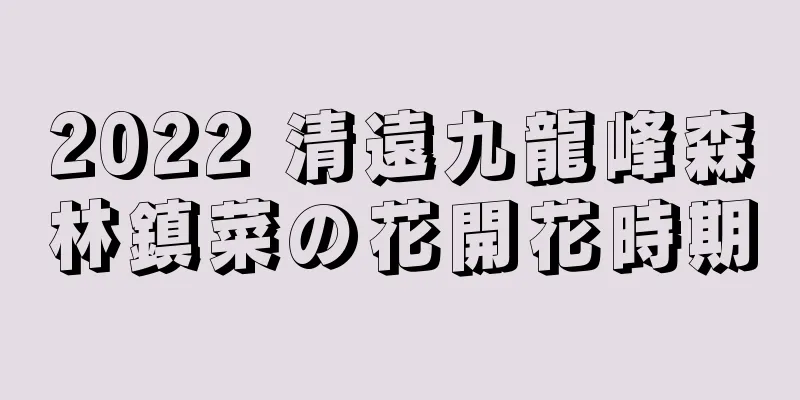 2022 清遠九龍峰森林鎮菜の花開花時期