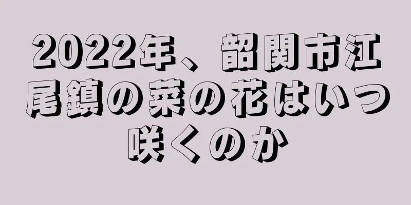 2022年、韶関市江尾鎮の菜の花はいつ咲くのか