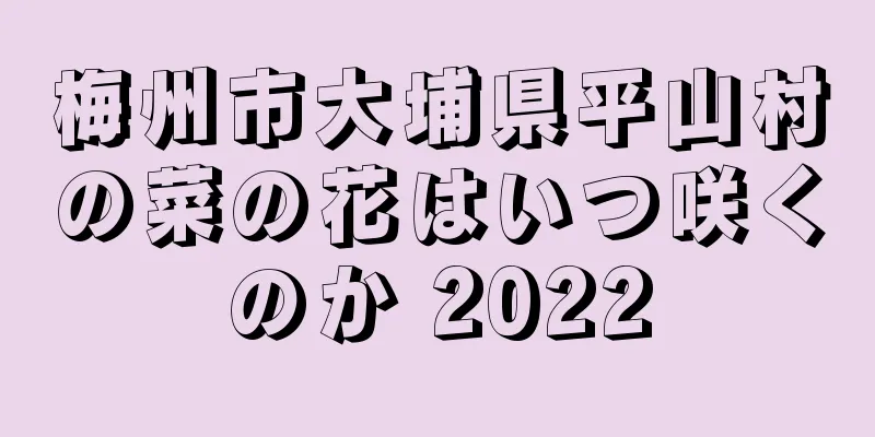 梅州市大埔県平山村の菜の花はいつ咲くのか 2022