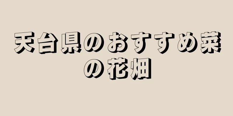 天台県のおすすめ菜の花畑