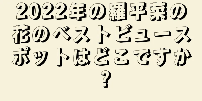 2022年の羅平菜の花のベストビュースポットはどこですか？