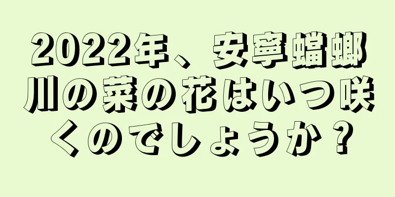 2022年、安寧蟷螂川の菜の花はいつ咲くのでしょうか？
