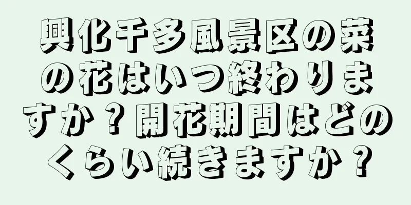 興化千多風景区の菜の花はいつ終わりますか？開花期間はどのくらい続きますか？