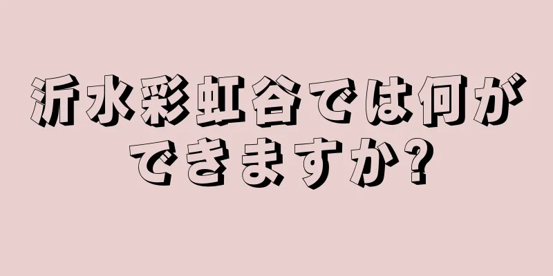 沂水彩虹谷では何ができますか?
